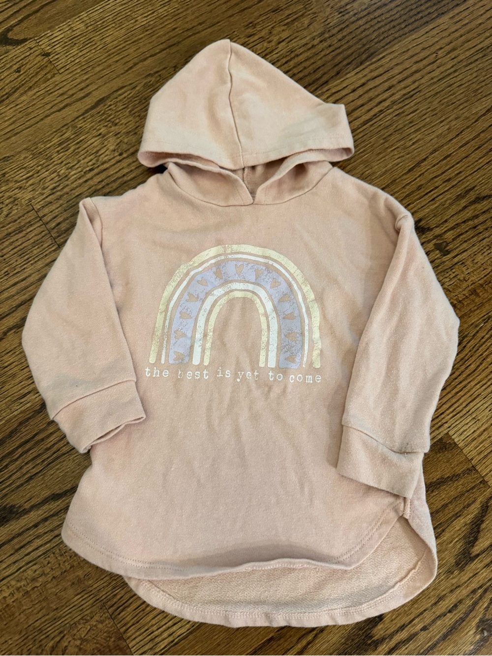 Greyson Pink Hooded Sweatshirt with Metallic Rainbow